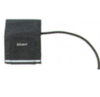 BM3