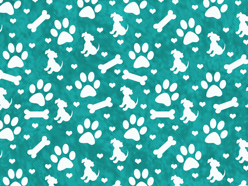 CHARLOTTE FANTAISIE - Veterinarian - M