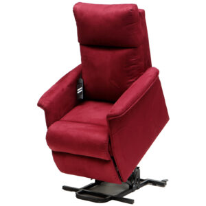 WHEELCHAIR LIFT ARIANNA 1 engine - bordeaux