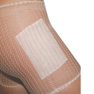 le bassin et la cuisse