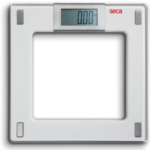 SECA 807 BALANCE DIGITALE