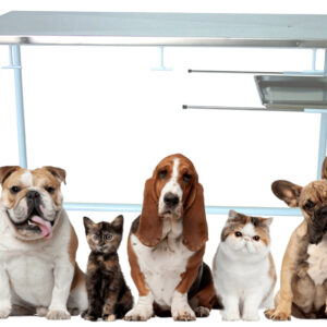 TABLE D'EXAMEN VÉTÉRINAIRE