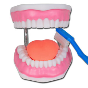 VALUE HYGIÈNE BUCCALE - 3X