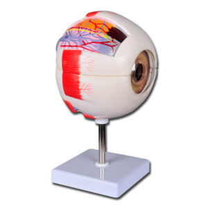 VALUE OEIL - 6 pièces - 6X