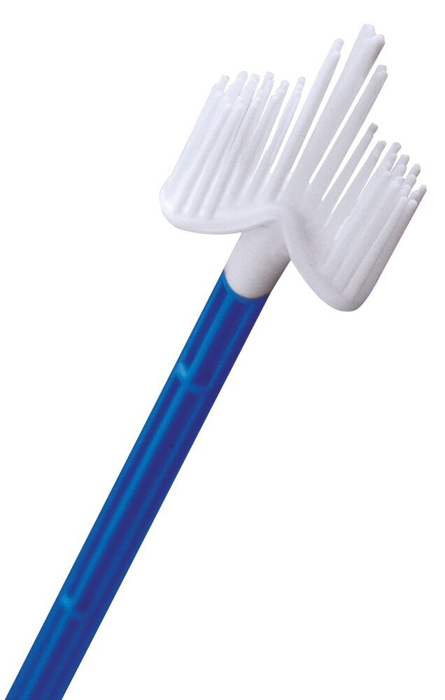 Brosse Cervex Brush® – Image 2