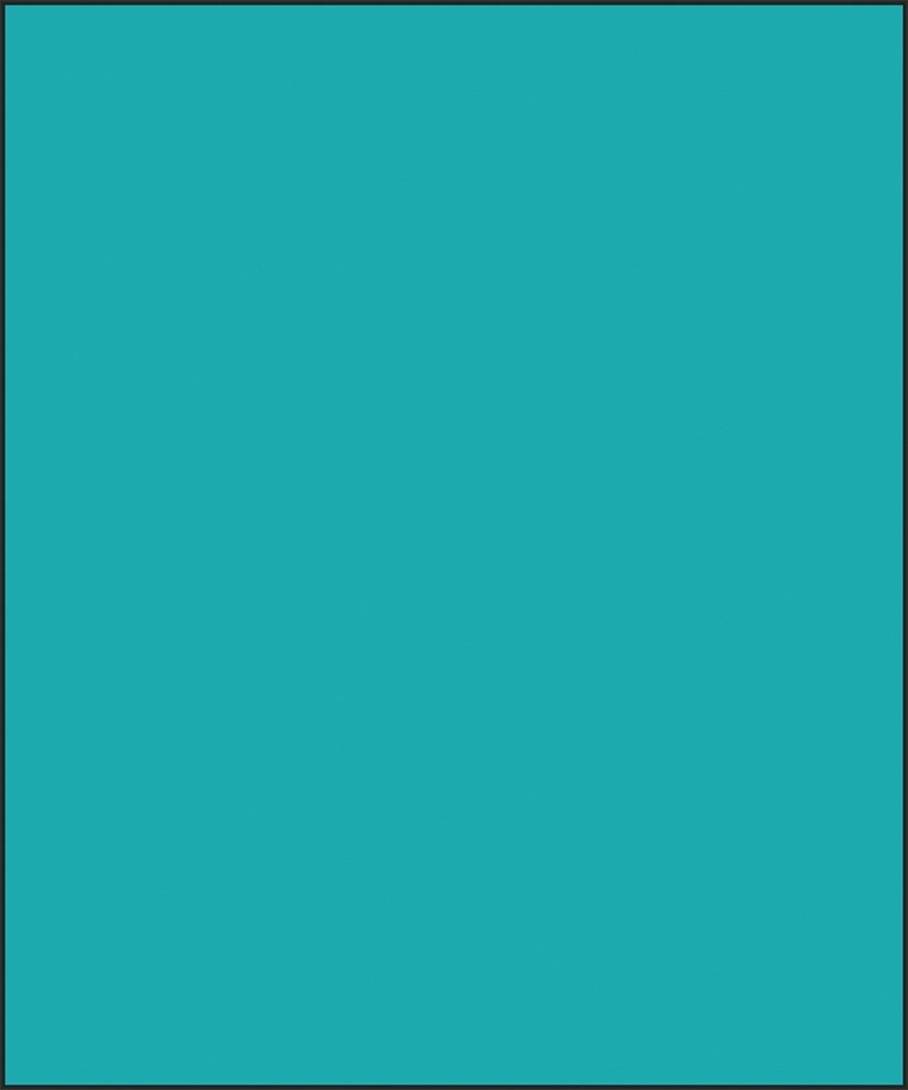 Champ d'Approche Stérile Raucodrape Pro® L. 180 x l. 150 cm 1 boîte de 13