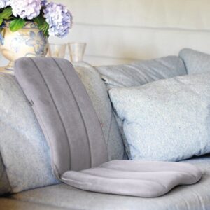 Dorsaback® GRIS
