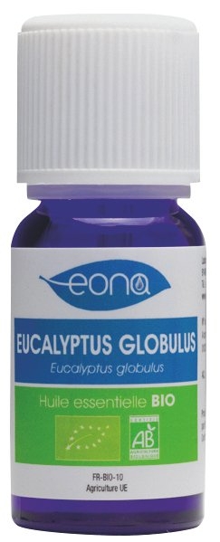 Huiles Essentielles Eucalyptus Globulus Bio - Image 2