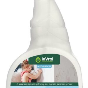 Nettoyant Détachant Toutes Surfaces Lavables Clean Power 1 pulvérisateur de 750 ml
