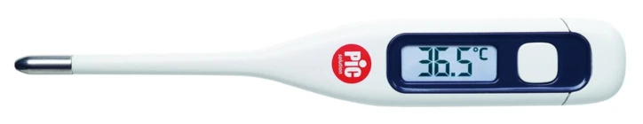 Thermomètre Digital Électronique